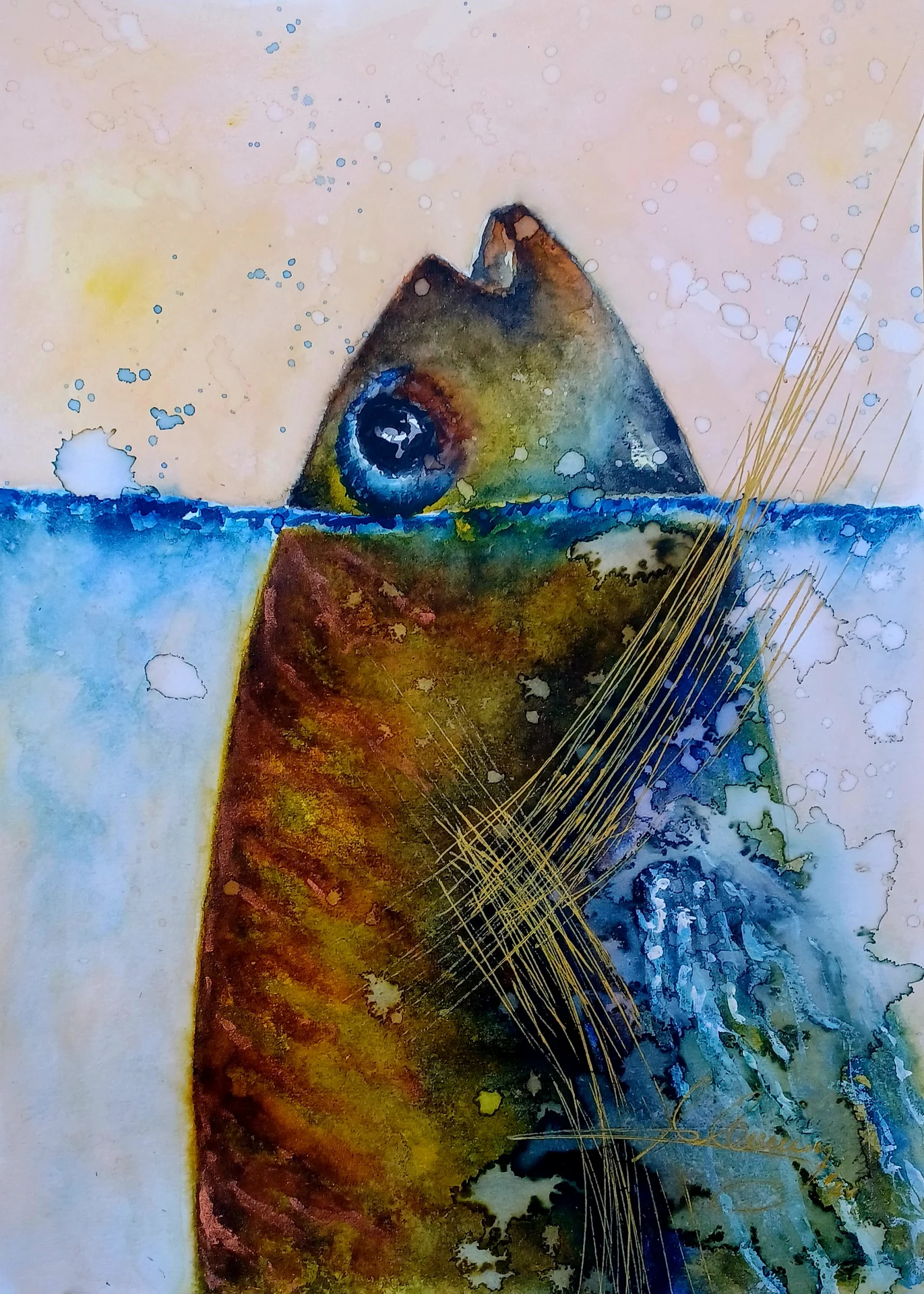 Orilla