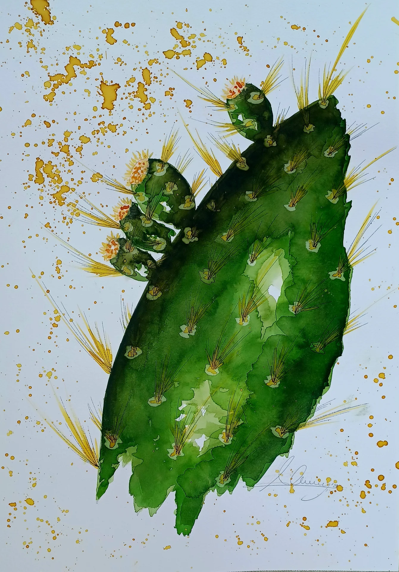 Constancia vegetal