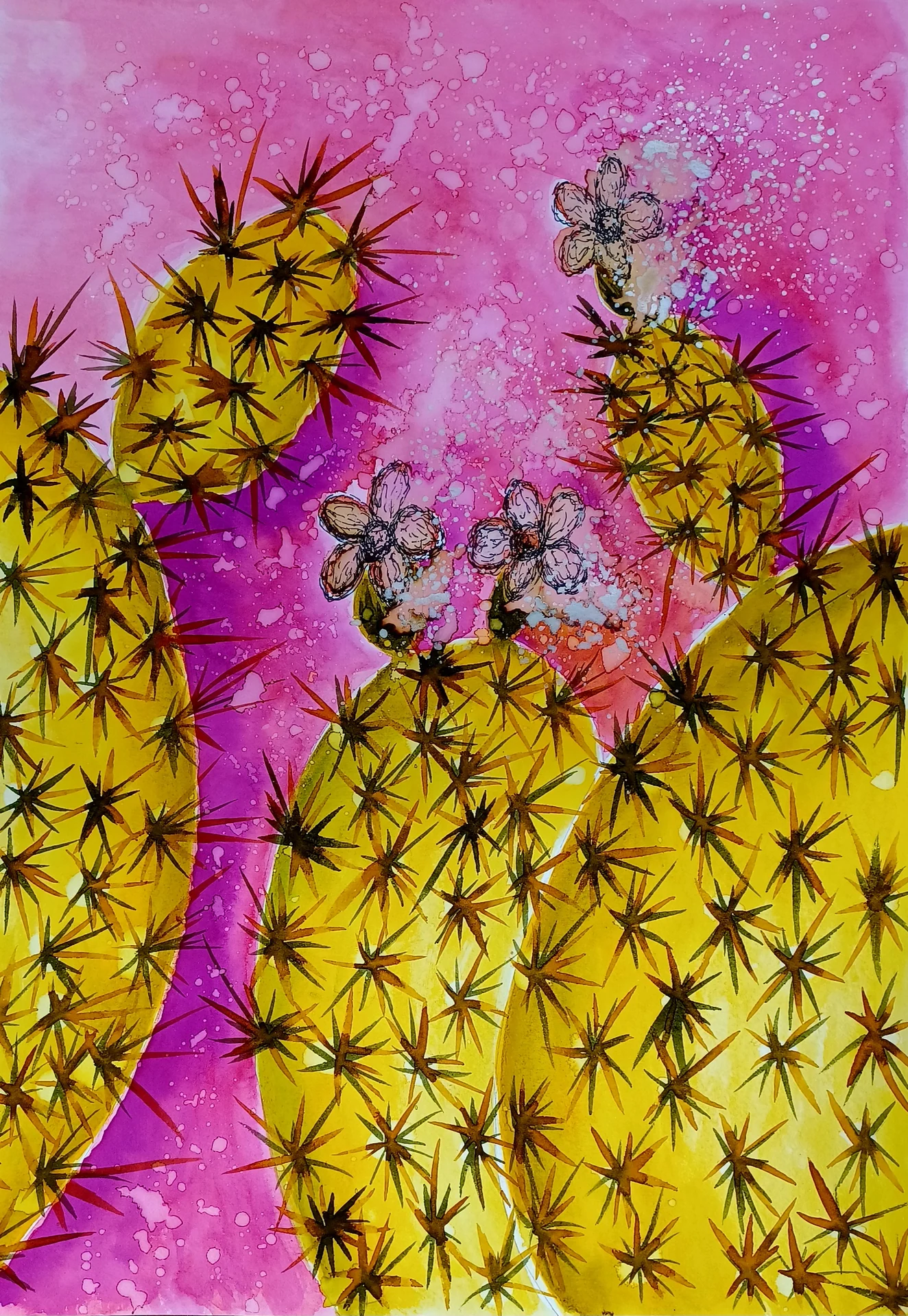 Piel de cactus
