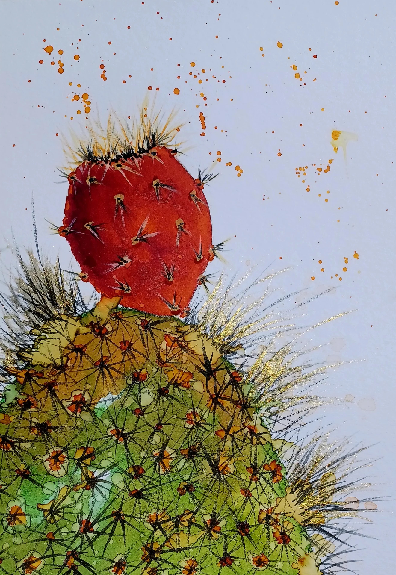 Silencio del cactus