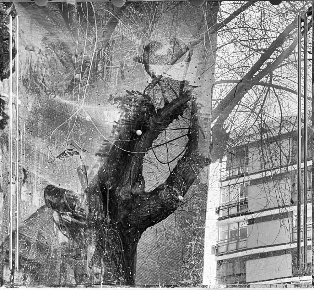 ARBOL REFLEJADO