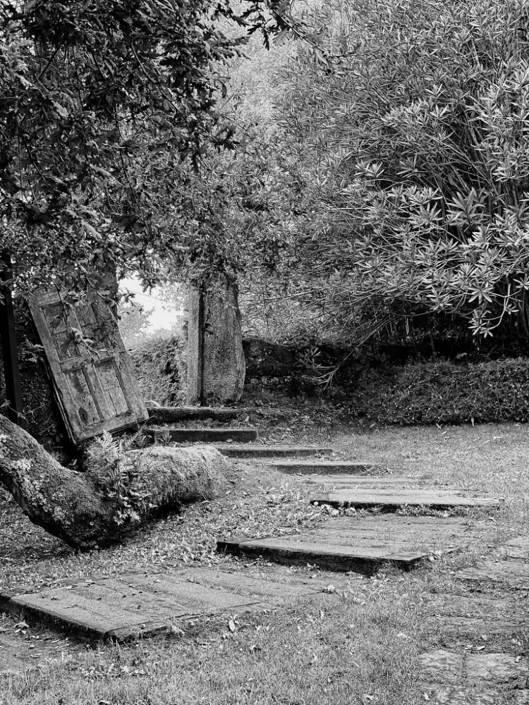 JARDIN CON PUERTA