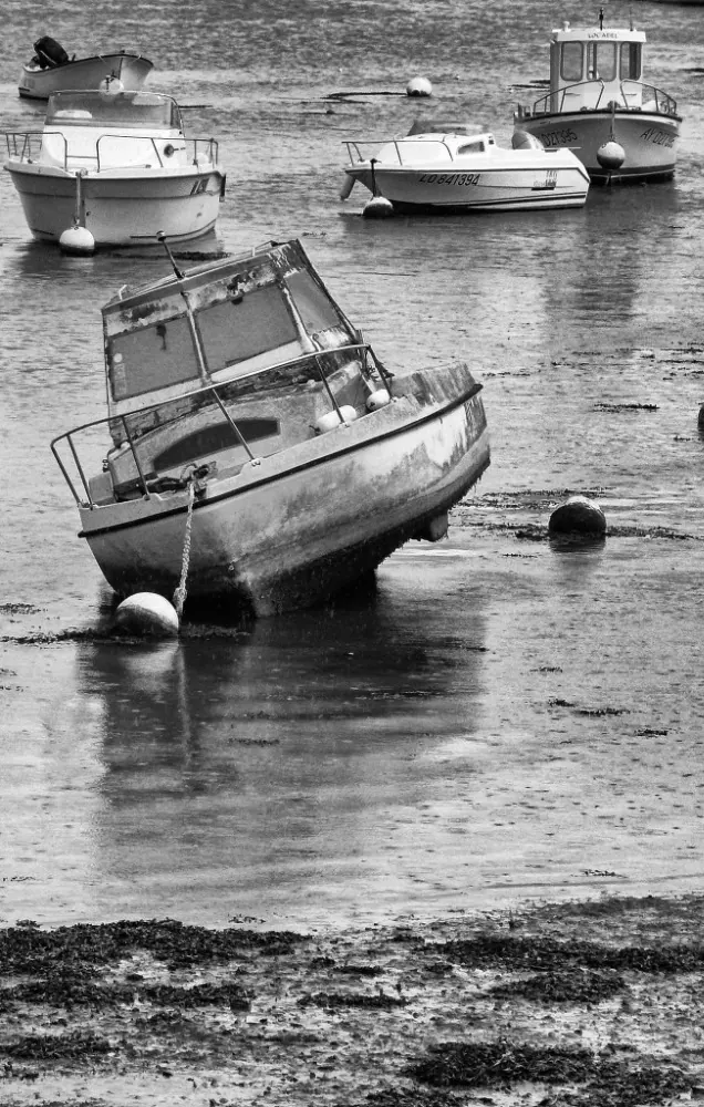BARCO VARADO