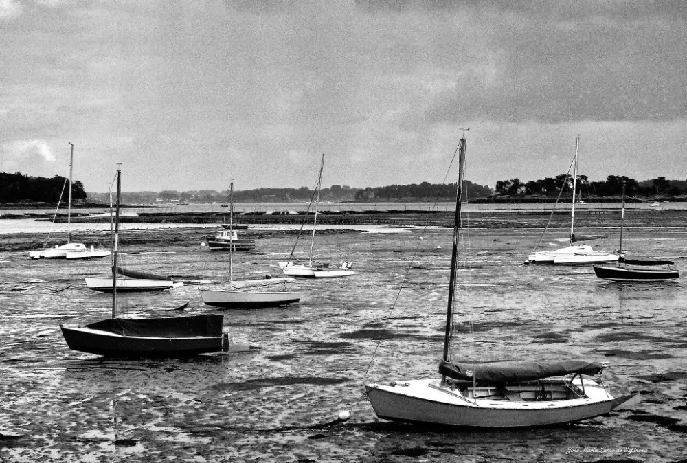 BARCOS VARADOS EN EL PUERTO
