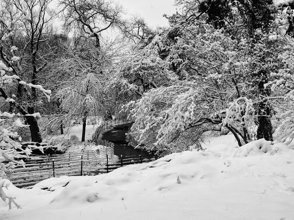 PUENTE CENTRAL PARK NEVADO