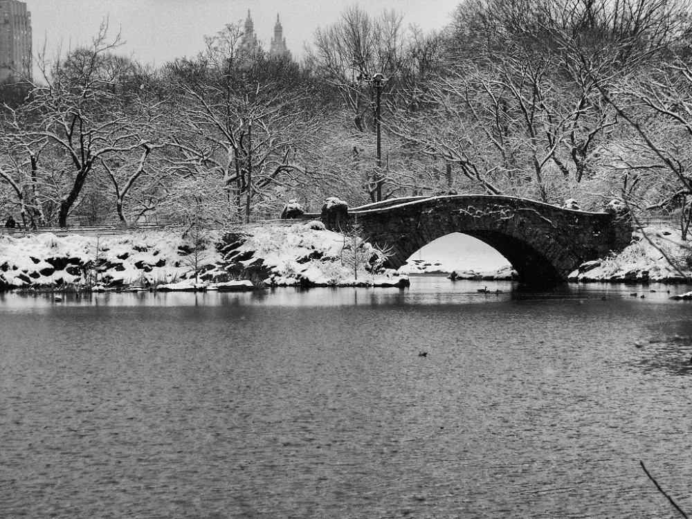 PUENTE CENTRAL PARK