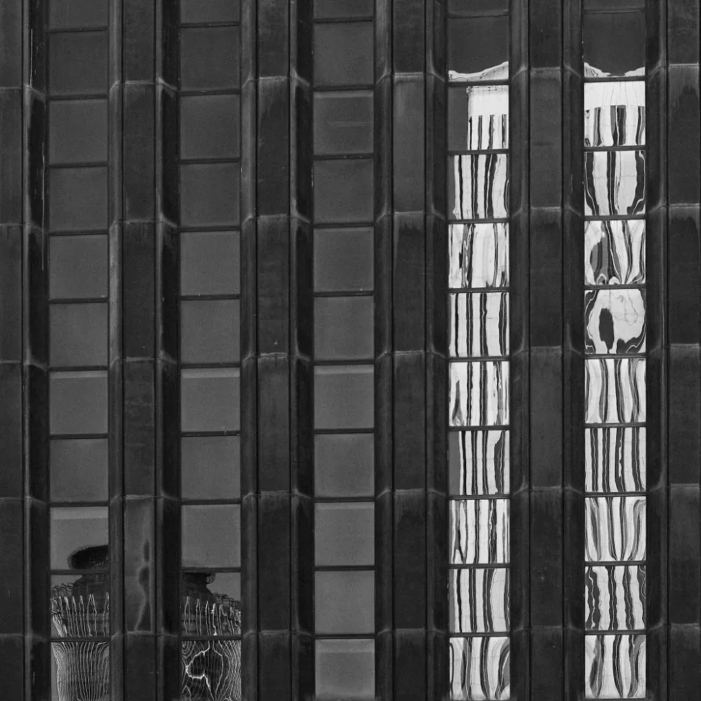 REFELJO ESTRUCTURA
