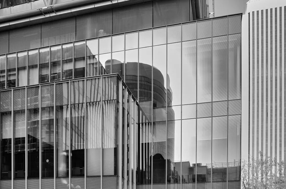 REFLEJOS SOBRE REFLEJOS