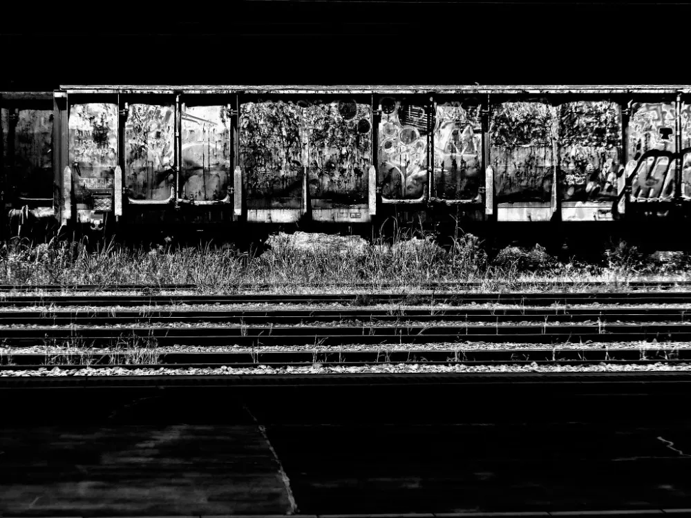 VAGONES-2