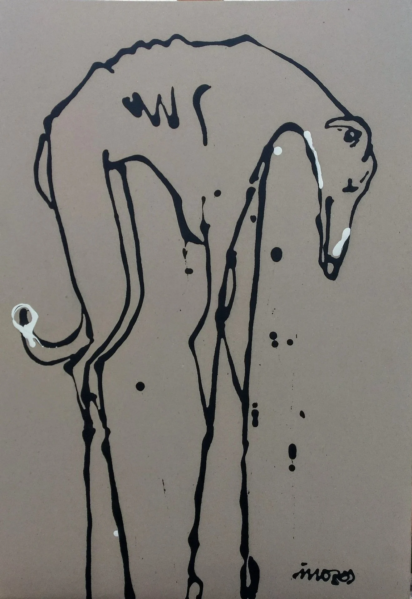 Galgo español